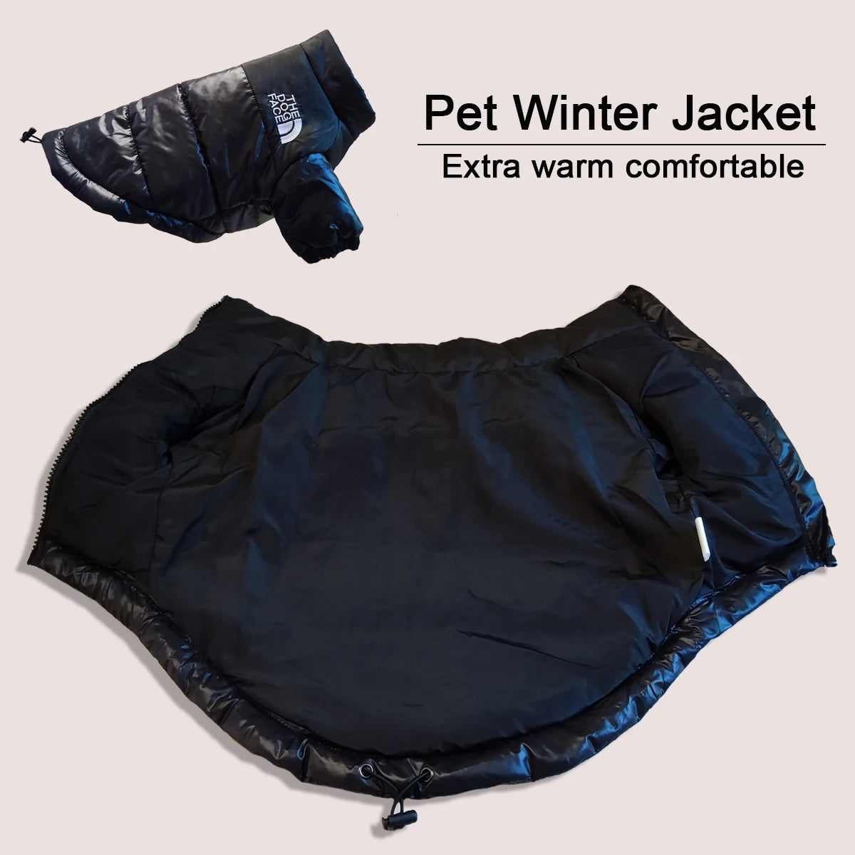 "The Dog Face" Winter Jacket for Dogs