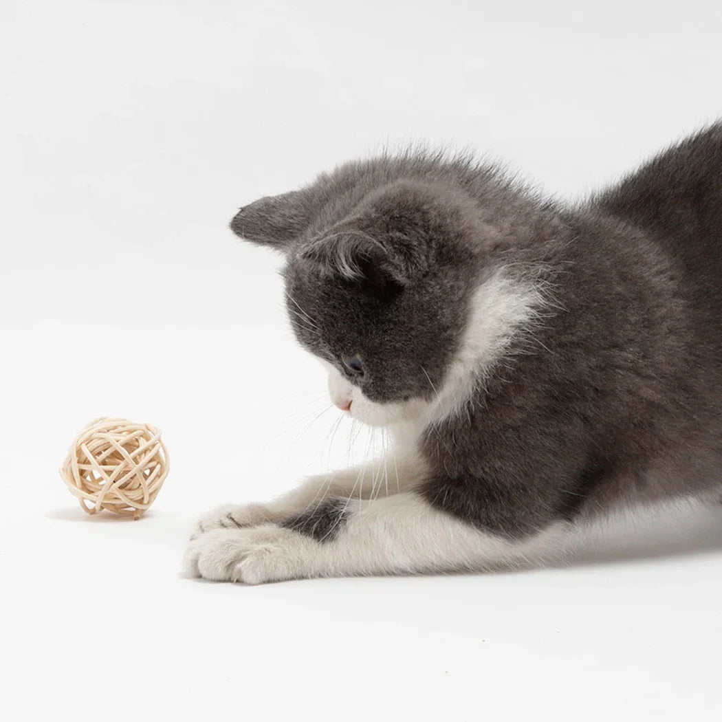 2pcs Rattan Ball with Feathers & Bell