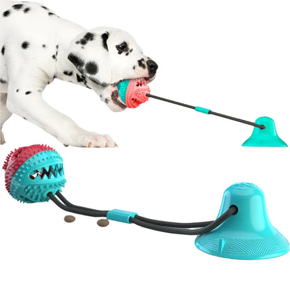 Interactive Dog Ball with Suction Cup