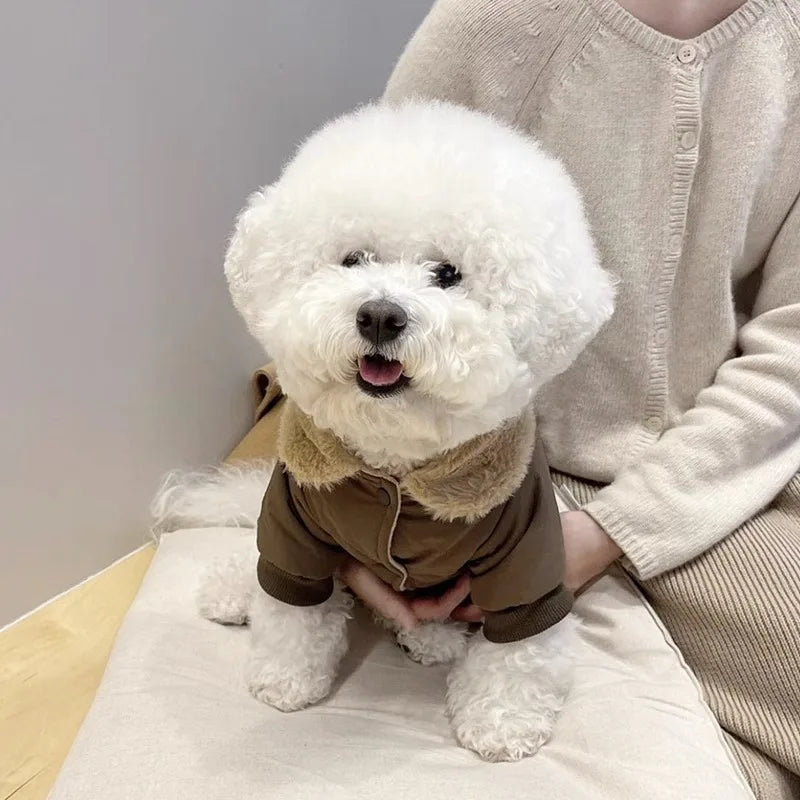 Aviator-Inspired Waterproof Dog Jacket with Teddy Bear Detail