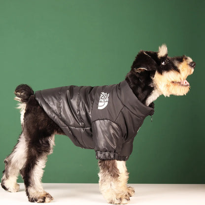 "The Dog Face" Winter Jacket for Dogs