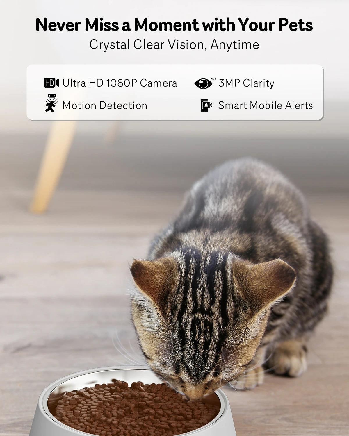 Smart Pet Feeder with 1080P HD Camera