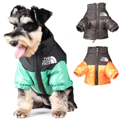 "The Dog Face" Winter Jacket for Dogs